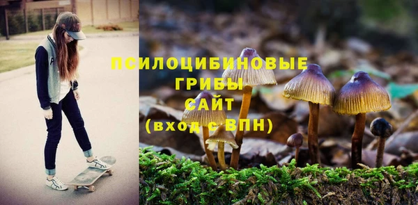 кокаин Алексин