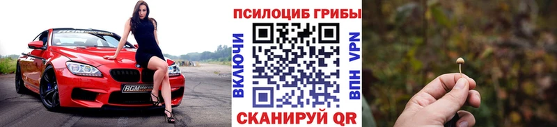 Псилоцибиновые грибы Psilocybe  blacksprut как зайти  shop официальный сайт  Талица 